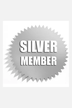 Silver member